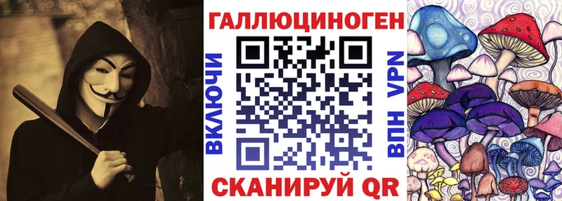 Галлюциногенные грибы Psilocybine cubensis  Купить где  Новопавловск 